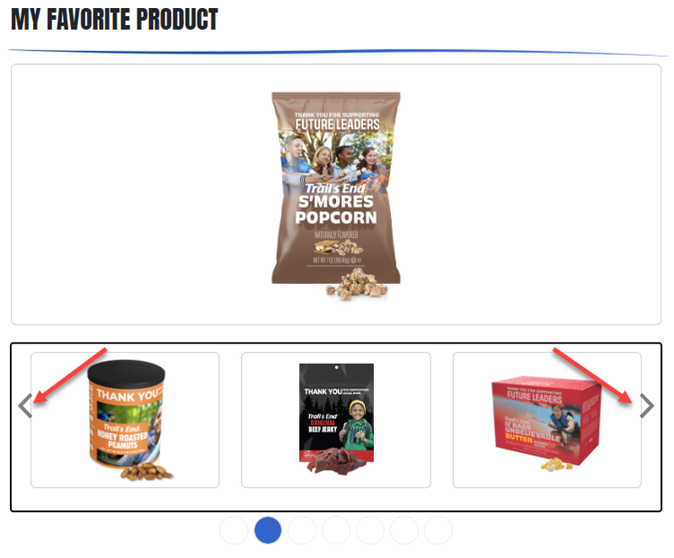 Scout Page Setup Step 3