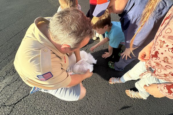 checking the results